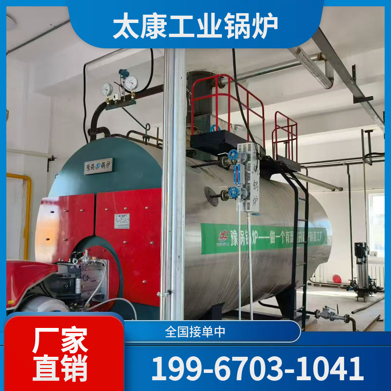 崇左沼气锅炉